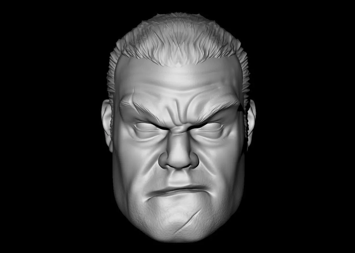 Punisher Custom Head 3D print model_0