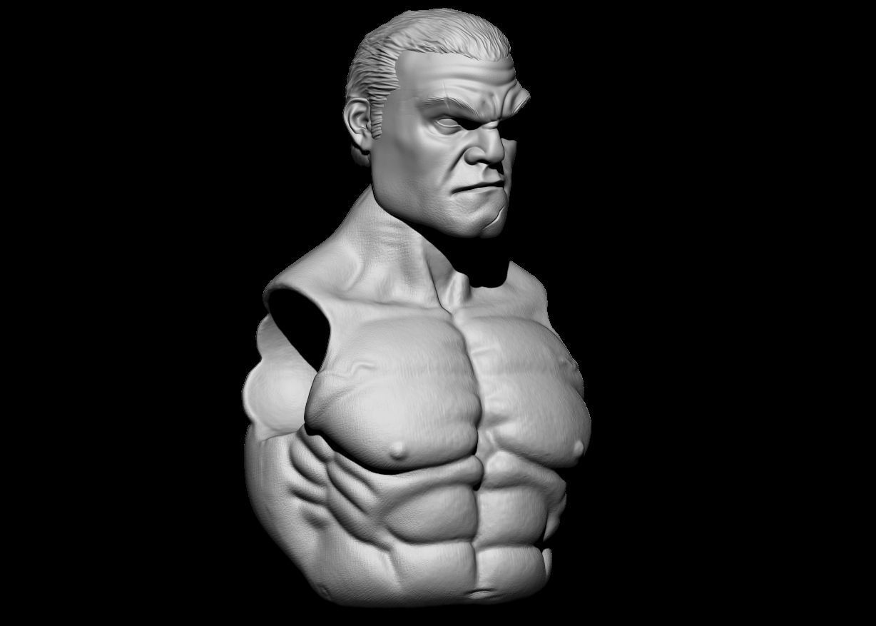Punisher Custom Head 3D print model_5