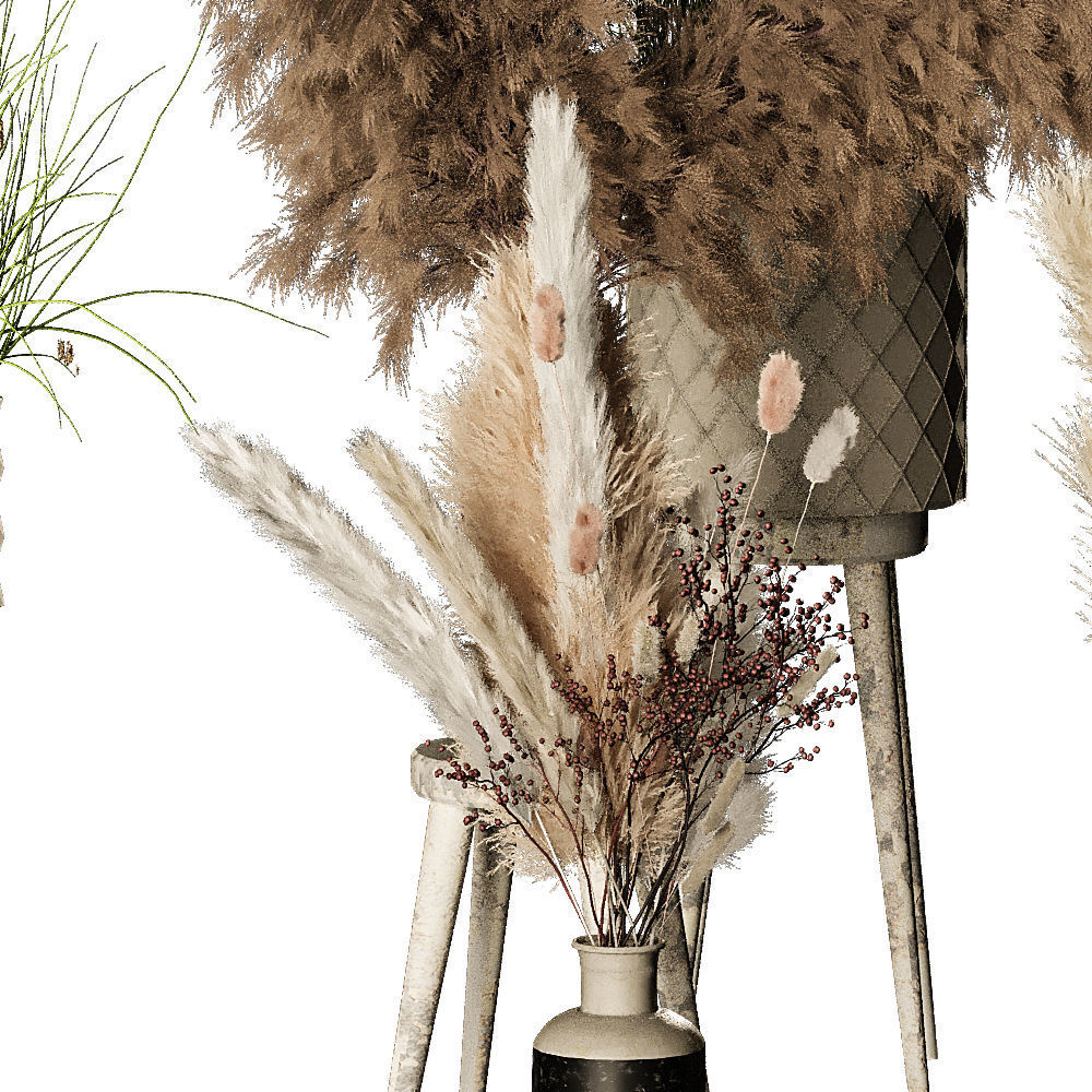 Pampas 02 3D model_3