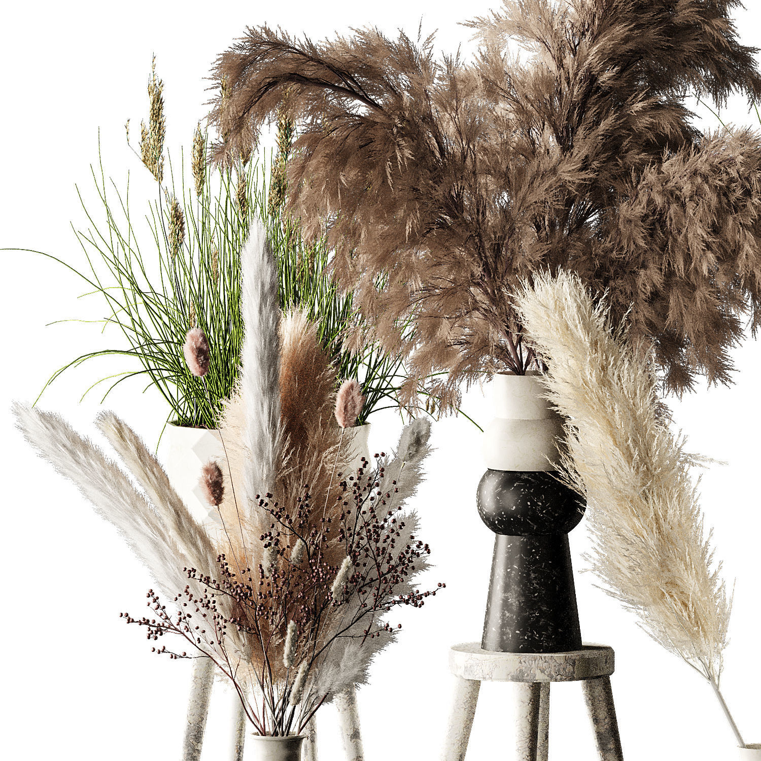 Pampas 02 3D model_2