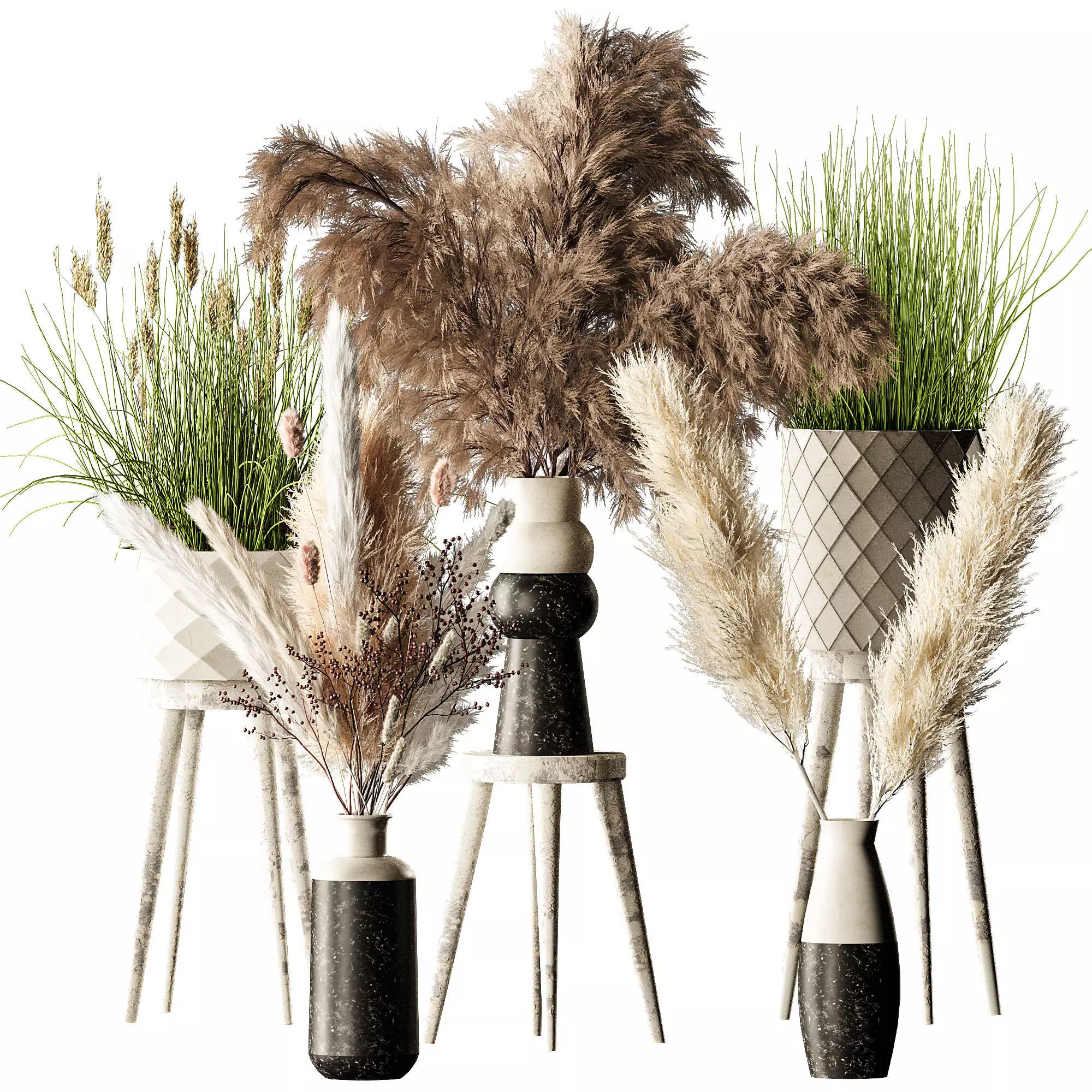 Pampas 02 3D model_0