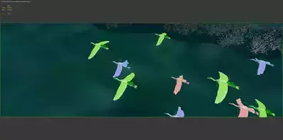 Bird Lake Wetland Landscape With animation