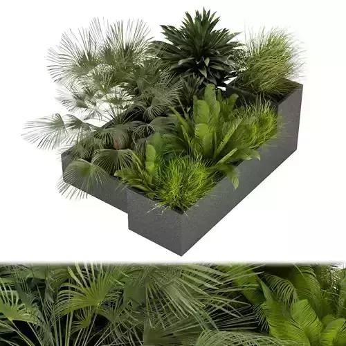 Collection plant vol 302 leaf outdoor