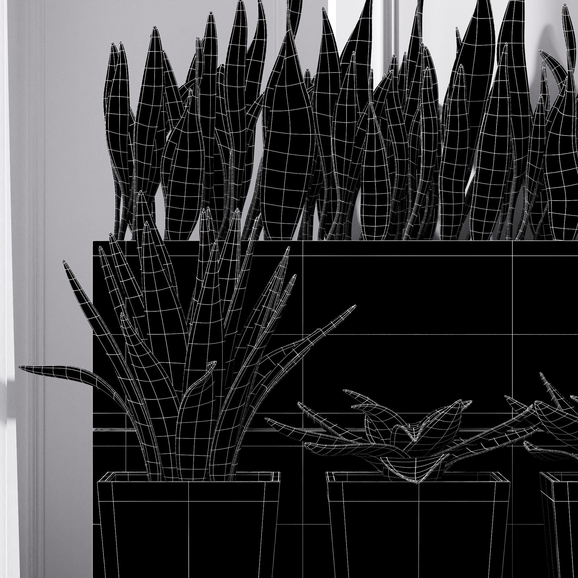 Partition Office Plants Sanseveria Snake Air Purifying 3D model_4