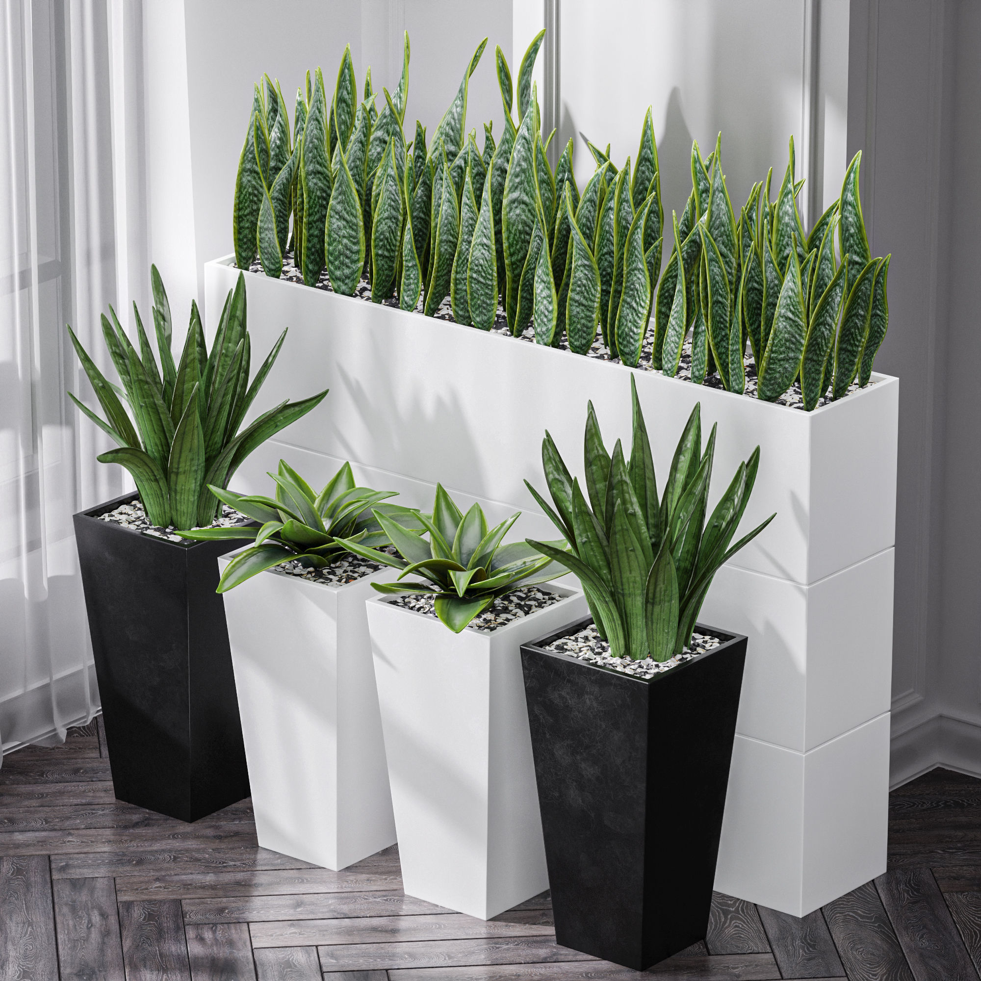 Partition Office Plants Sanseveria Snake Air Purifying 3D model_2