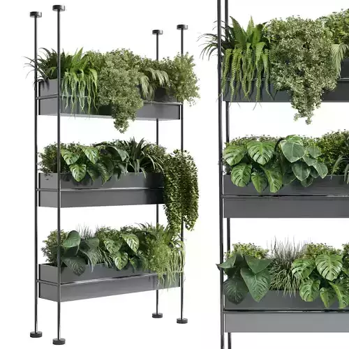 stand wall decor with shelves for the closet or showcase plants