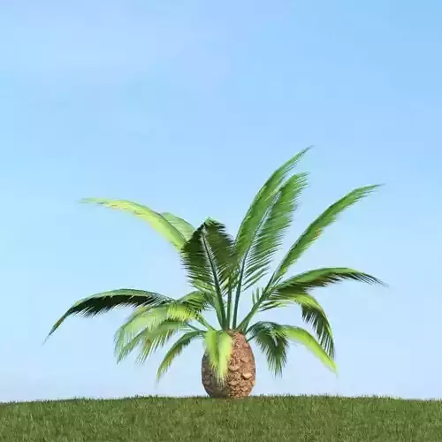 Green Tropical Plant