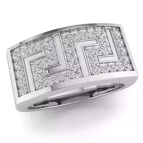 Small fancy mans ring