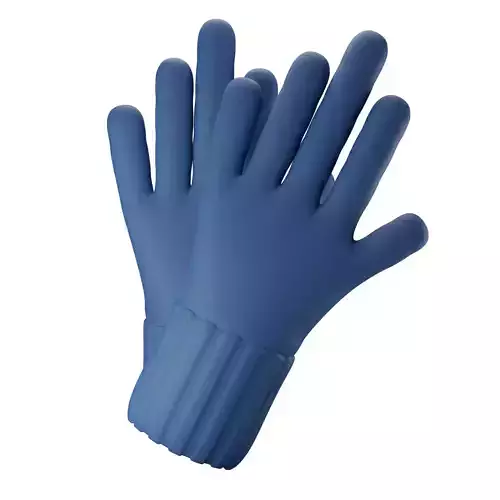Winter Gloves