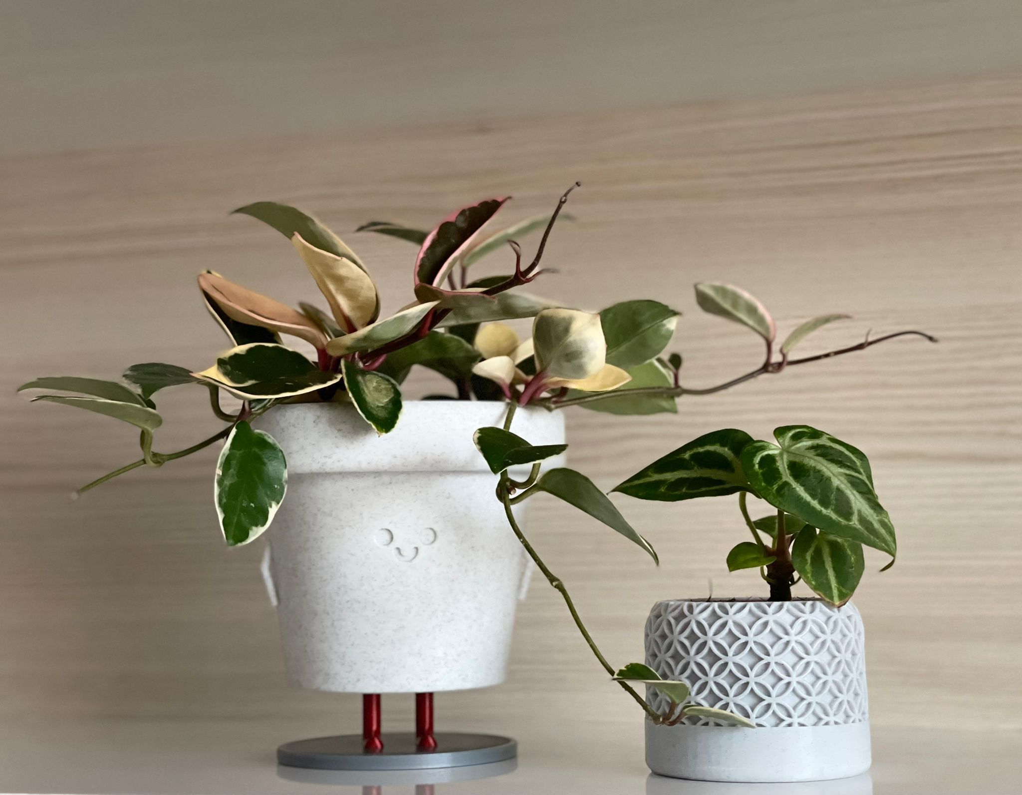 3D Printed Standing Smiley Pot 3D print model_2