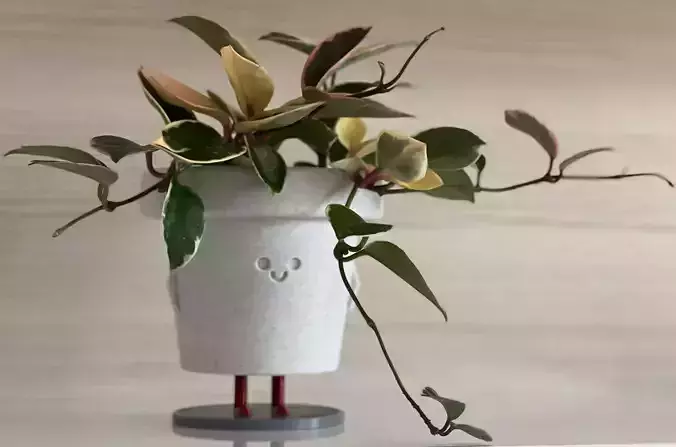3D Printed Standing Smiley Pot