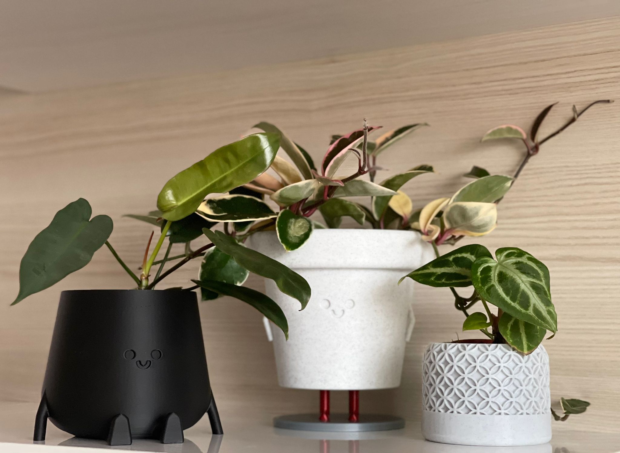 3D Printed Standing Smiley Pot 3D print model_3