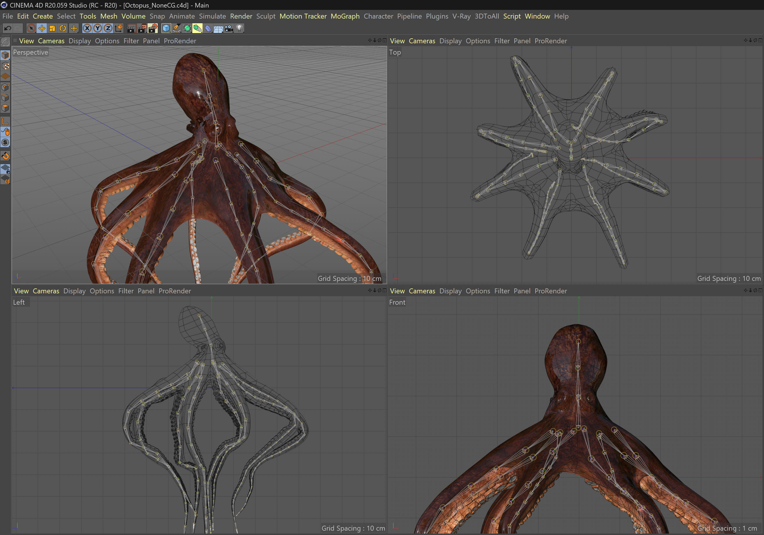 Animated Octopus v2 Low-poly 3D model_8