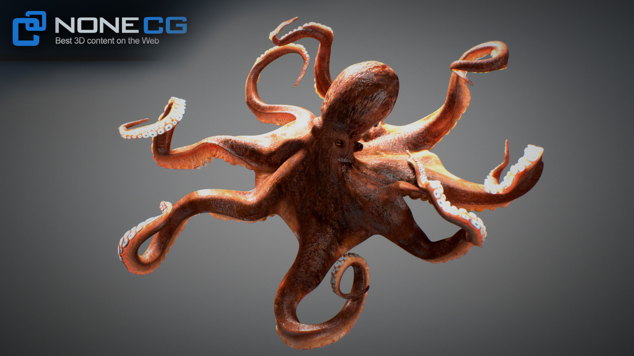 Animated Octopus v2 Low-poly 3D model_29
