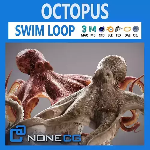 Animated Octopus v2 Low-poly 3D model