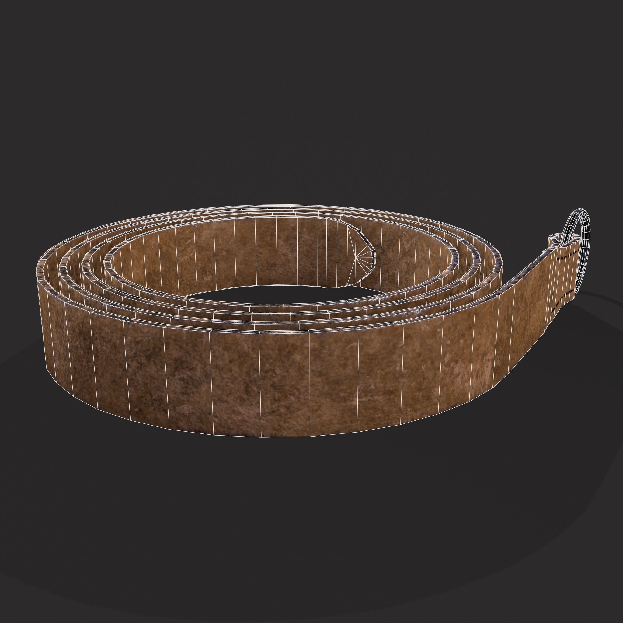 Iron Ring Belt  Low-poly 3D model_8
