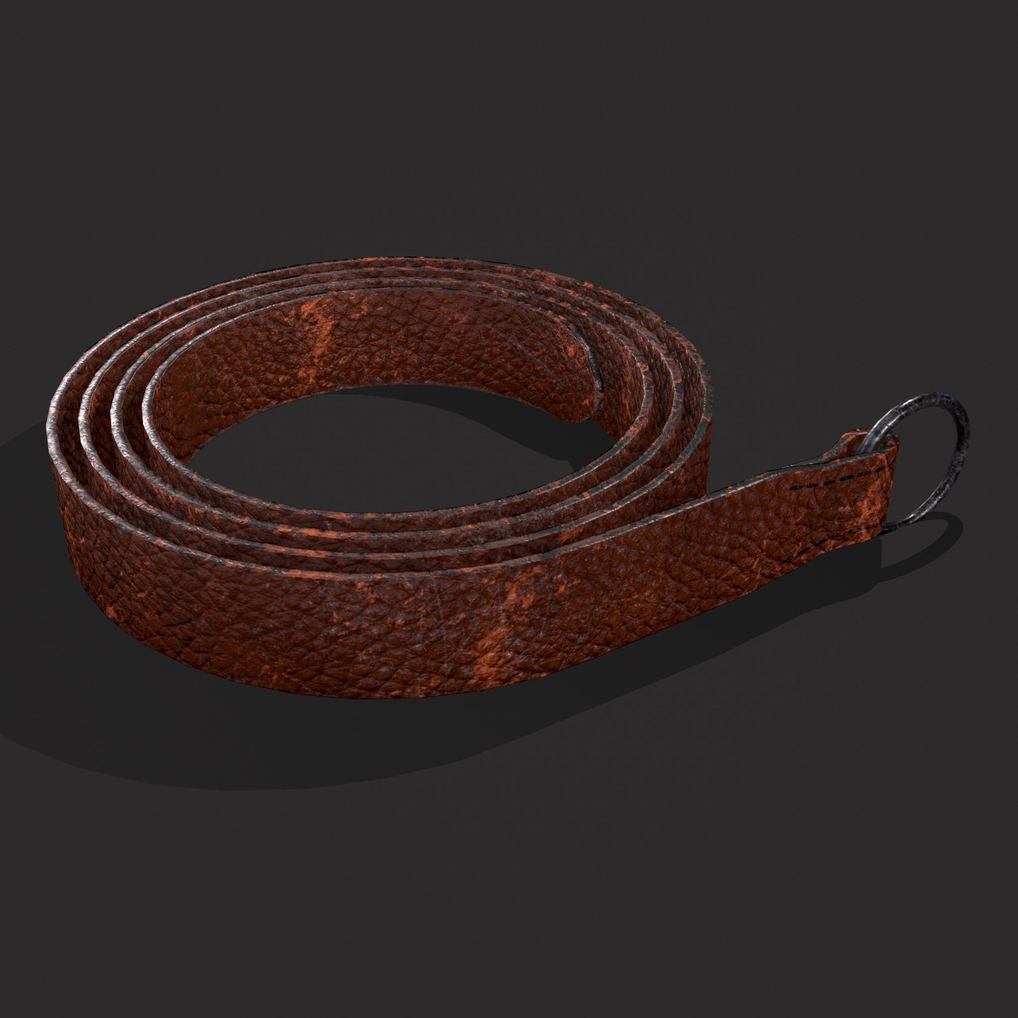 Iron Ring Belt  Low-poly 3D model_25