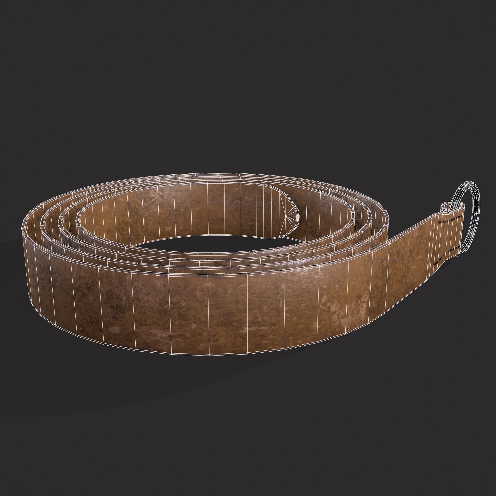 Iron Ring Belt  Low-poly 3D model_10