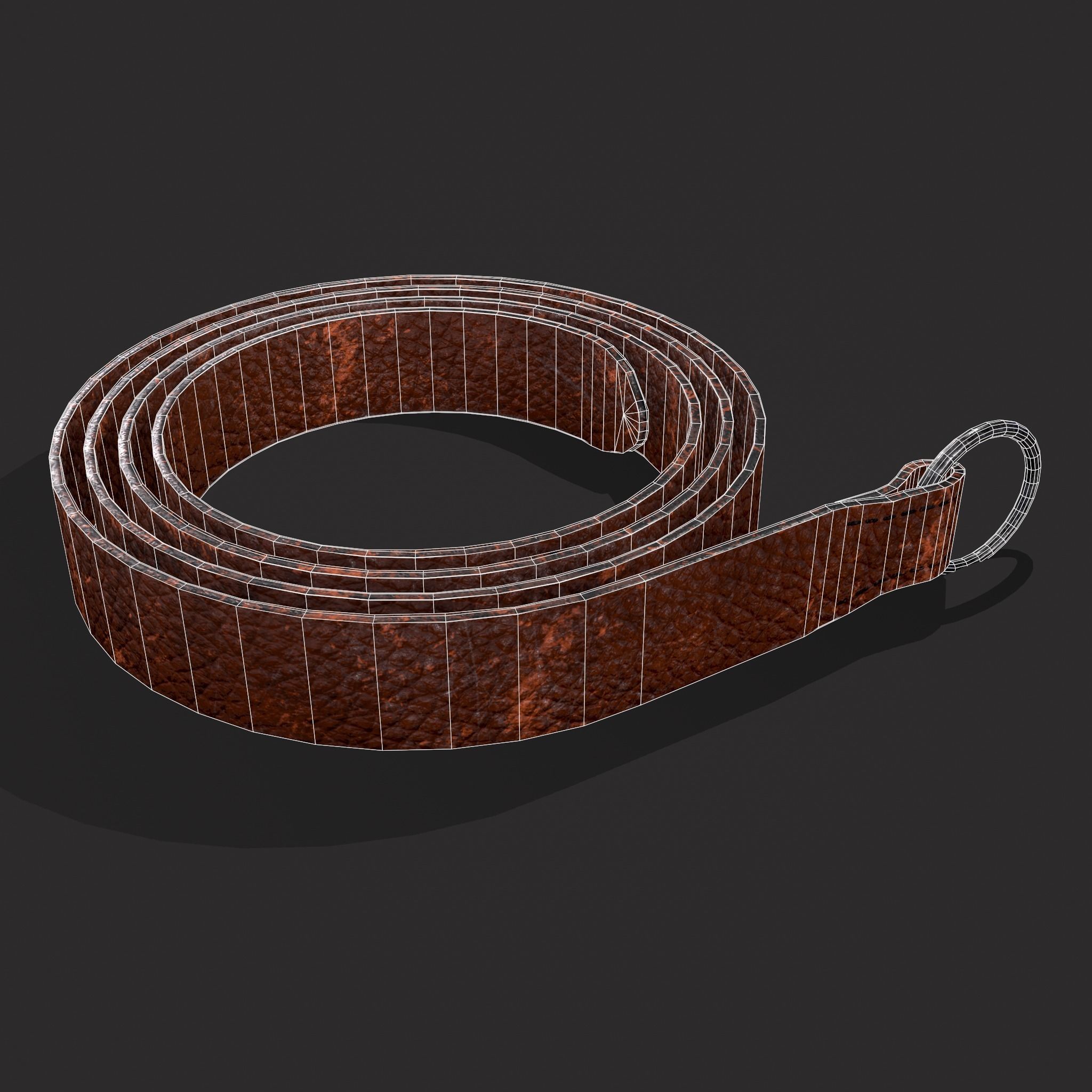 Iron Ring Belt  Low-poly 3D model_26