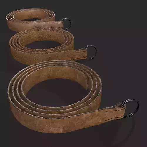 Iron Ring Belt  Low-poly 3D model