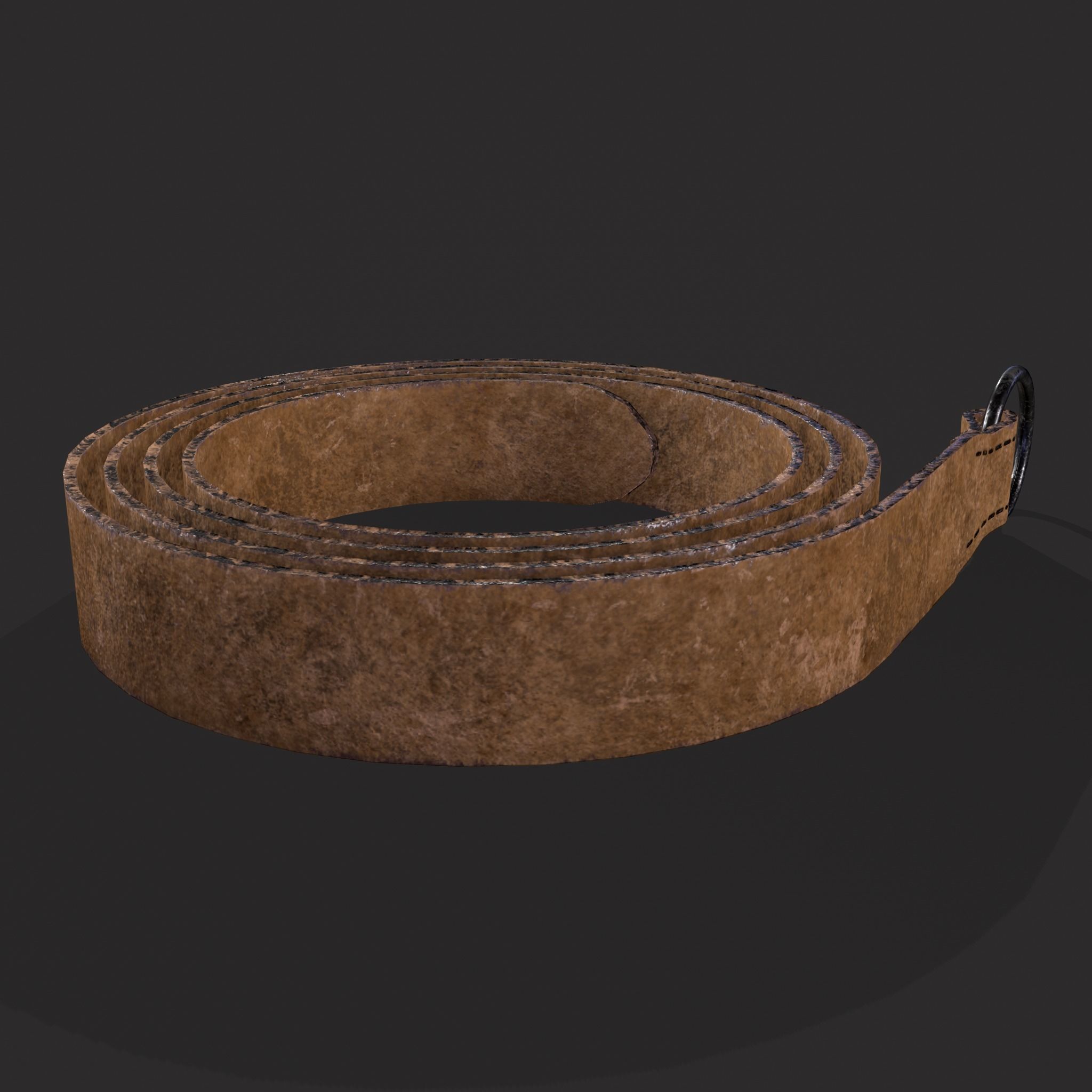 Iron Ring Belt  Low-poly 3D model_7