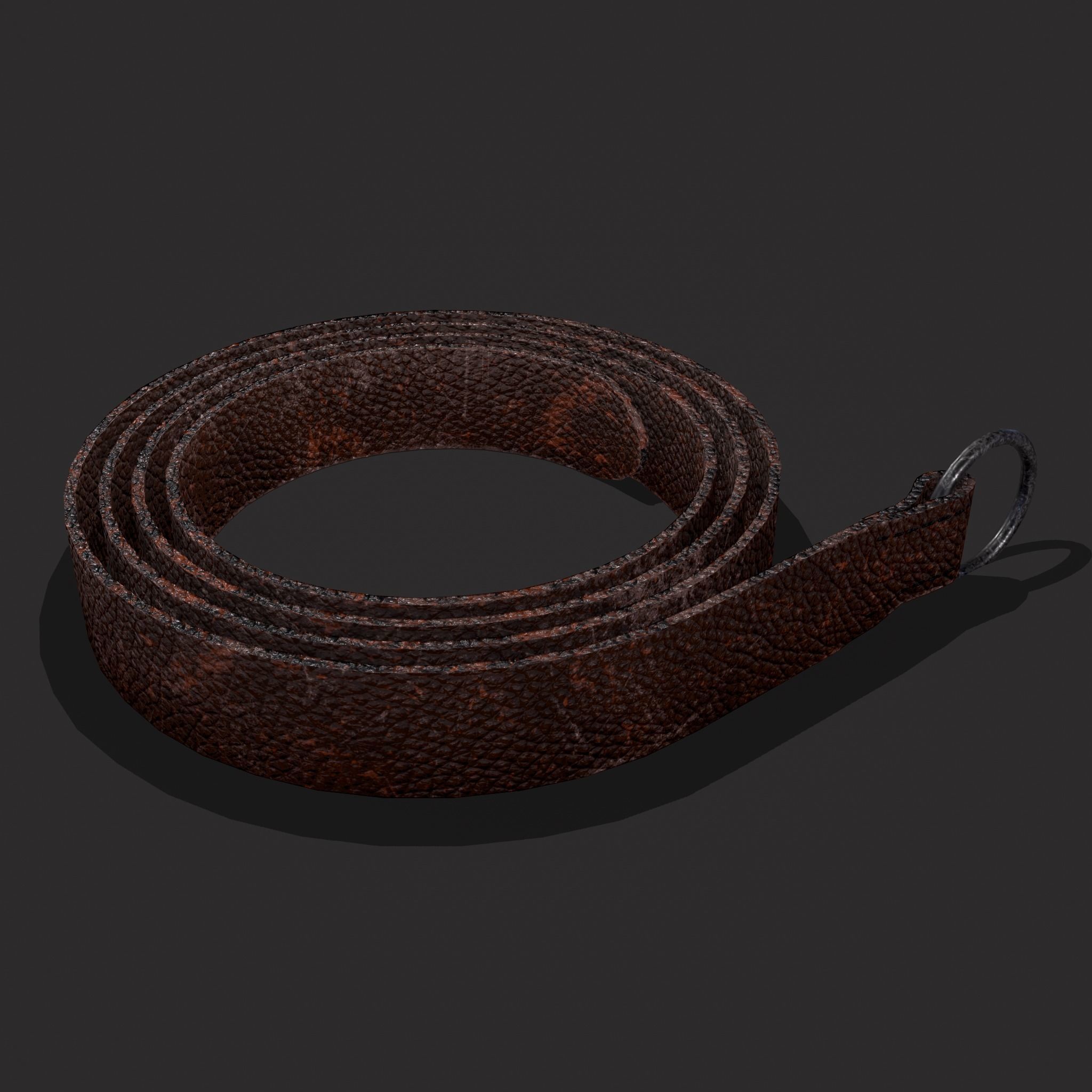 Iron Ring Belt  Low-poly 3D model_15