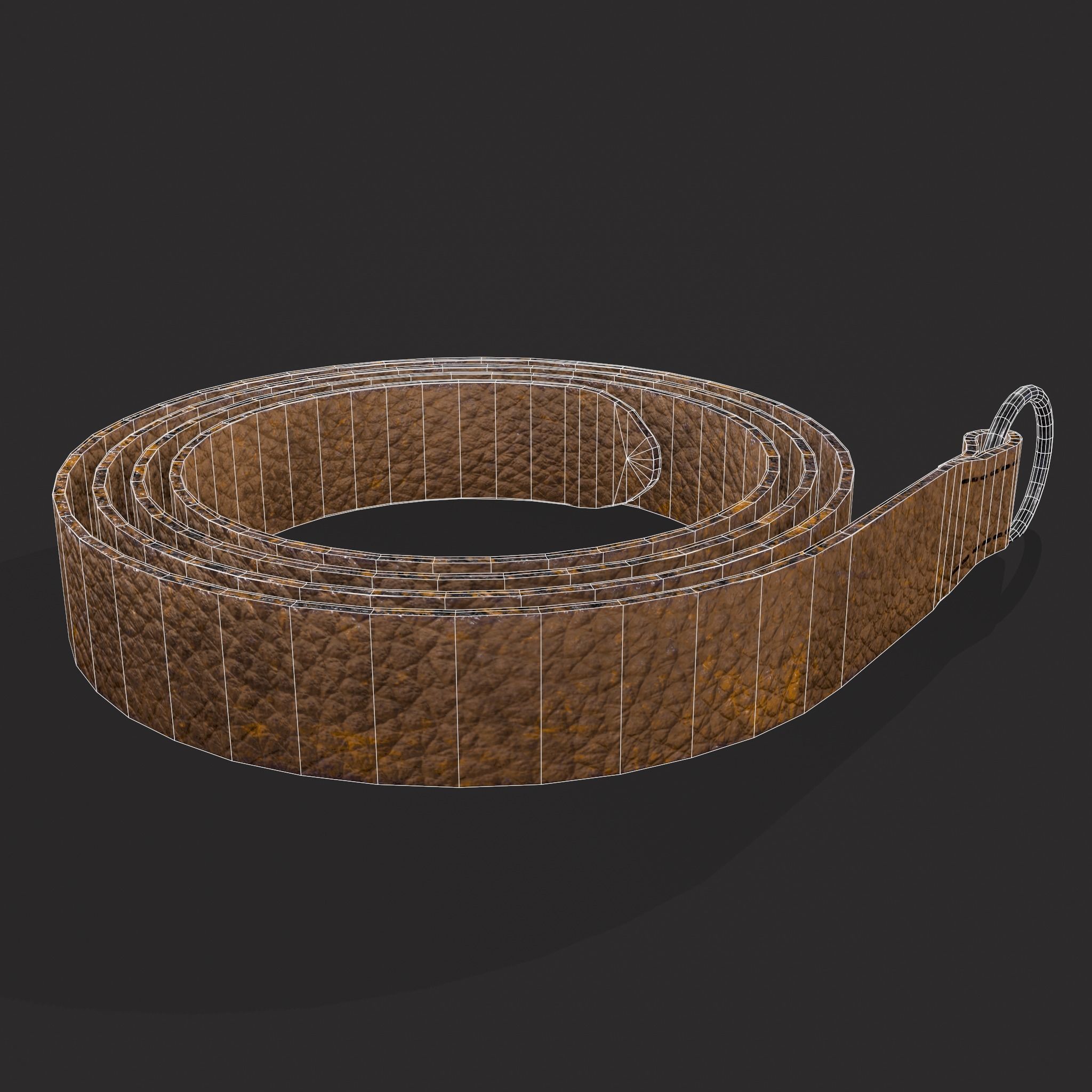 Iron Ring Belt  Low-poly 3D model_12