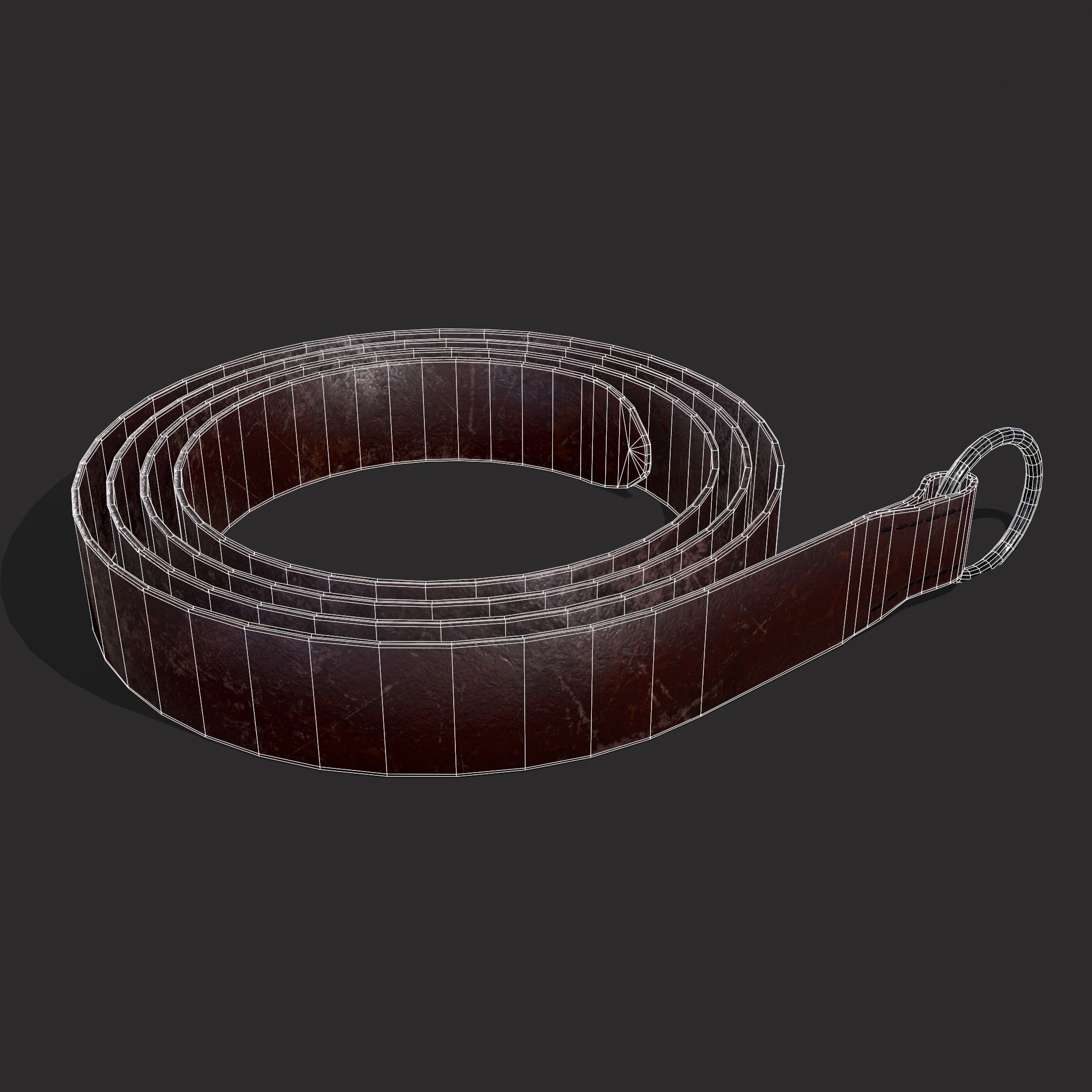 Iron Ring Belt  Low-poly 3D model_18