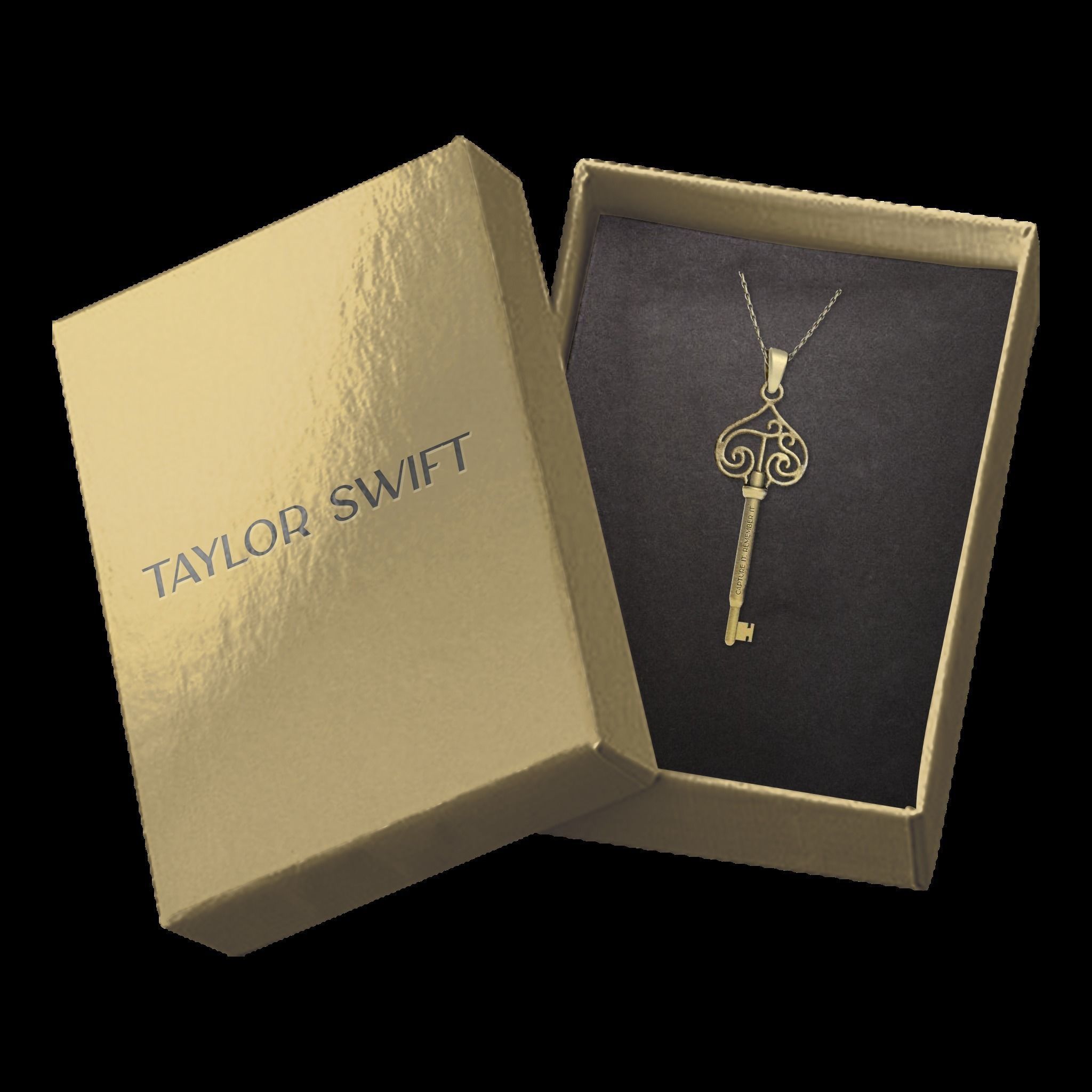 Taylor Swift TS Vault Key Necklace Fearless Album Merch 3D print model_2