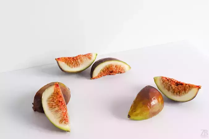 Fig   3D model