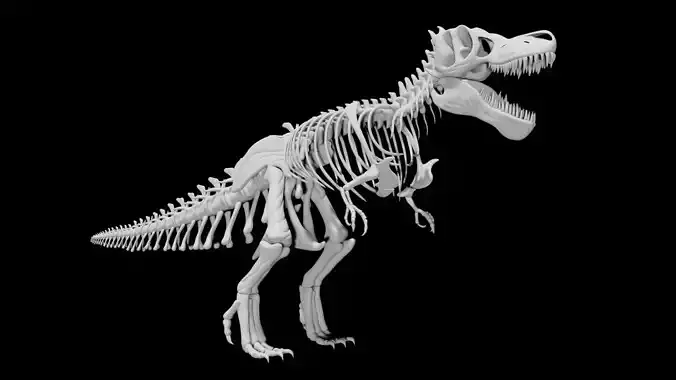 Trex skeleton Low-poly 3D model