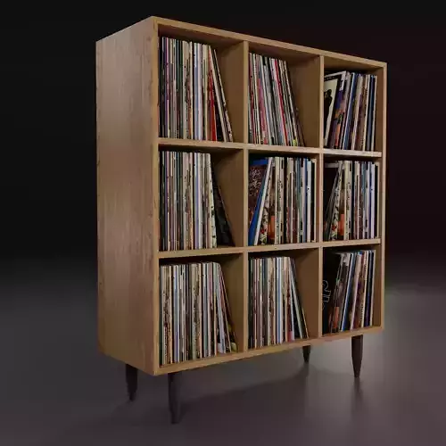 Vinyl Storage No21