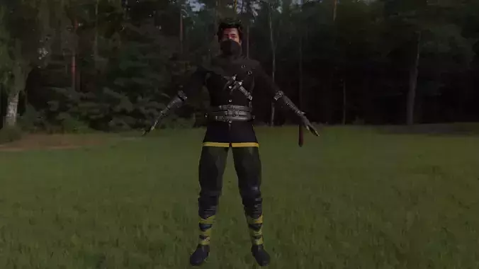 Ninja Character Sword Not Included