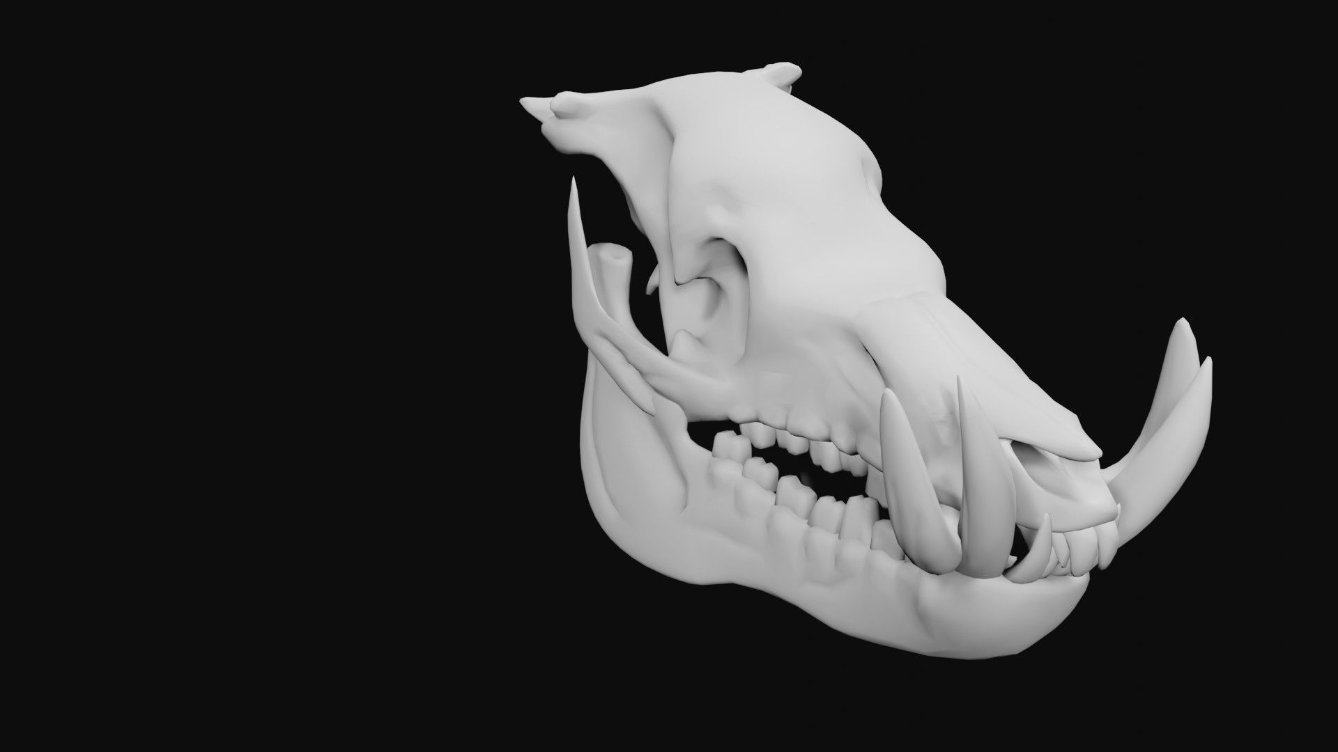 Boar Skull Low-poly 3D model_7