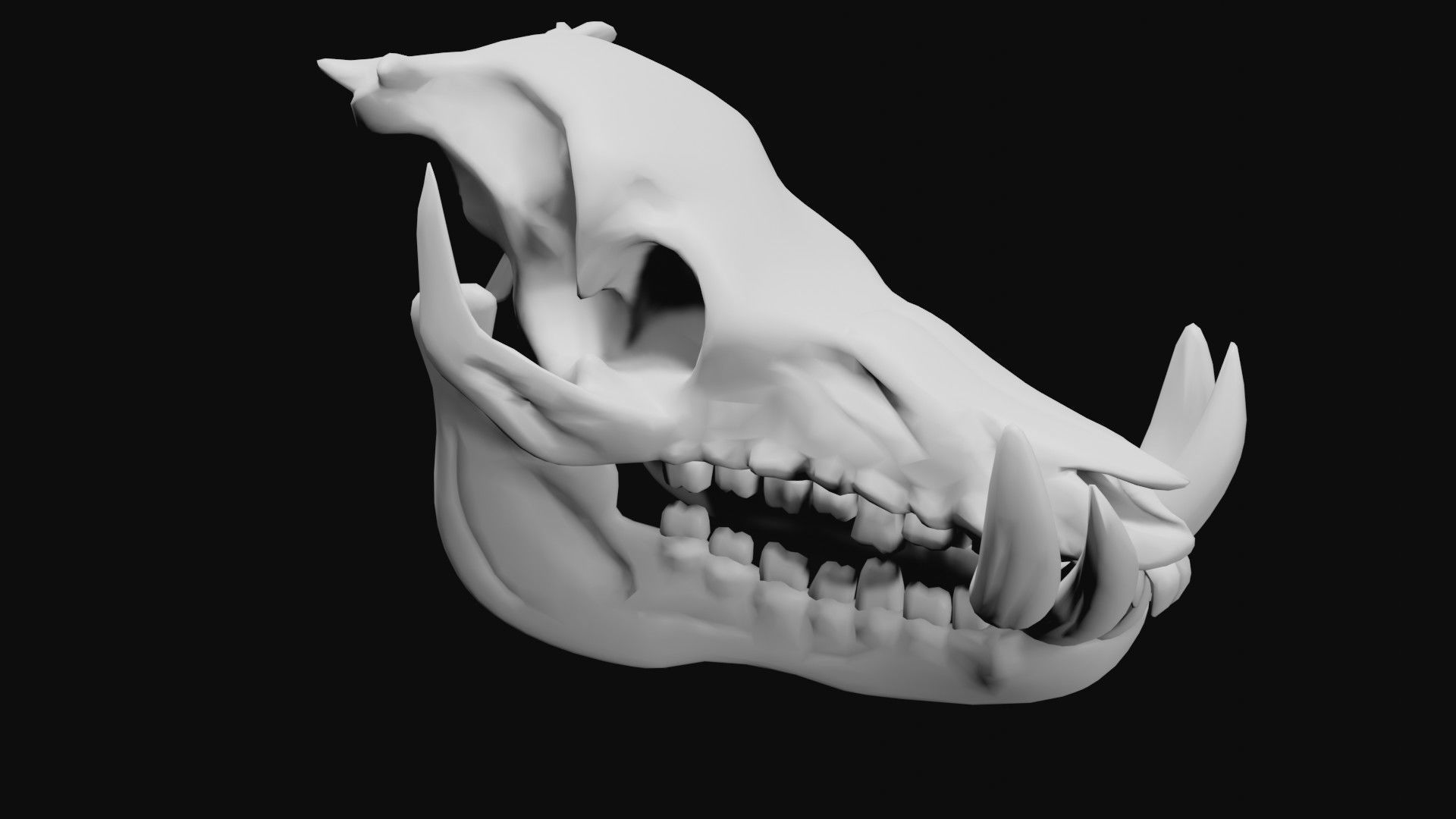 Boar Skull Low-poly 3D model_2