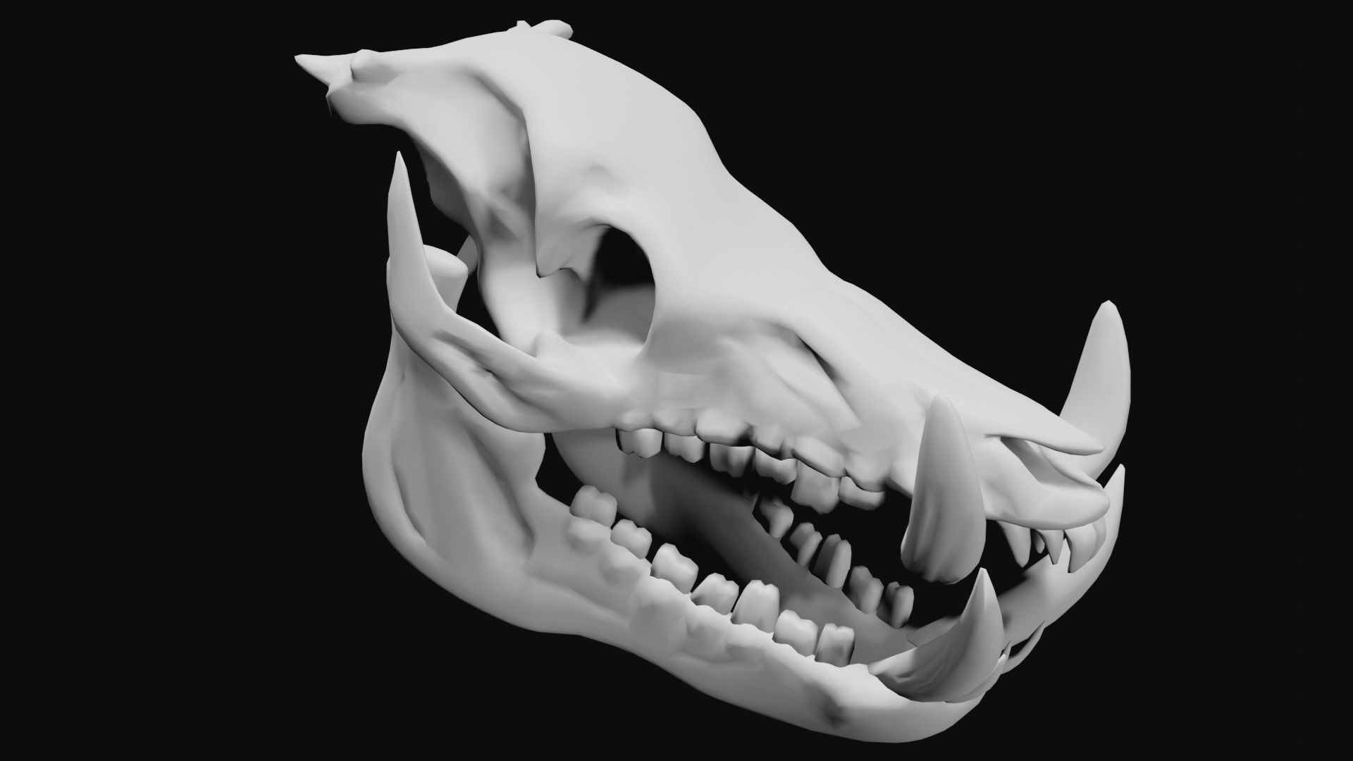 Boar Skull Low-poly 3D model_1