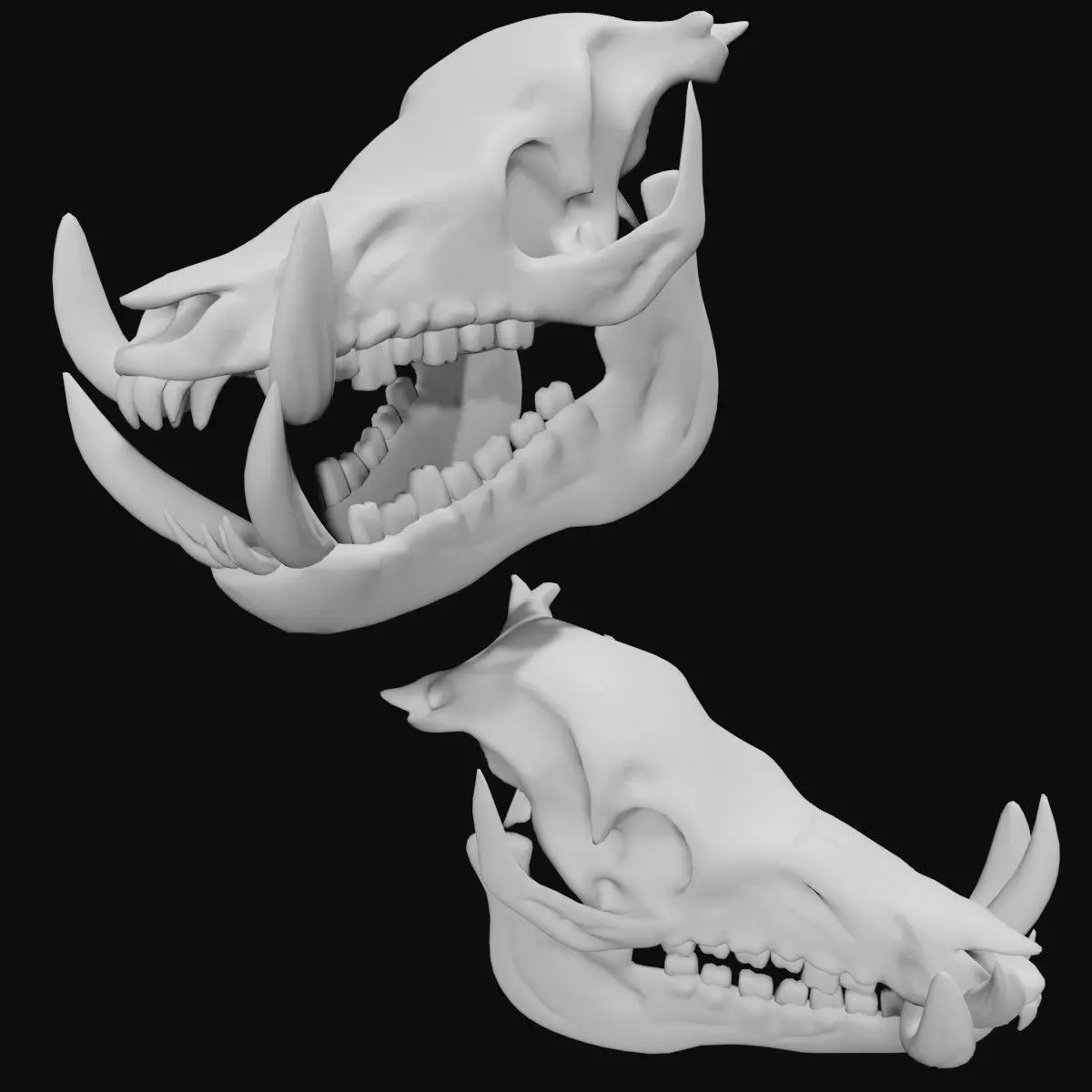 Boar Skull Low-poly 3D model_0