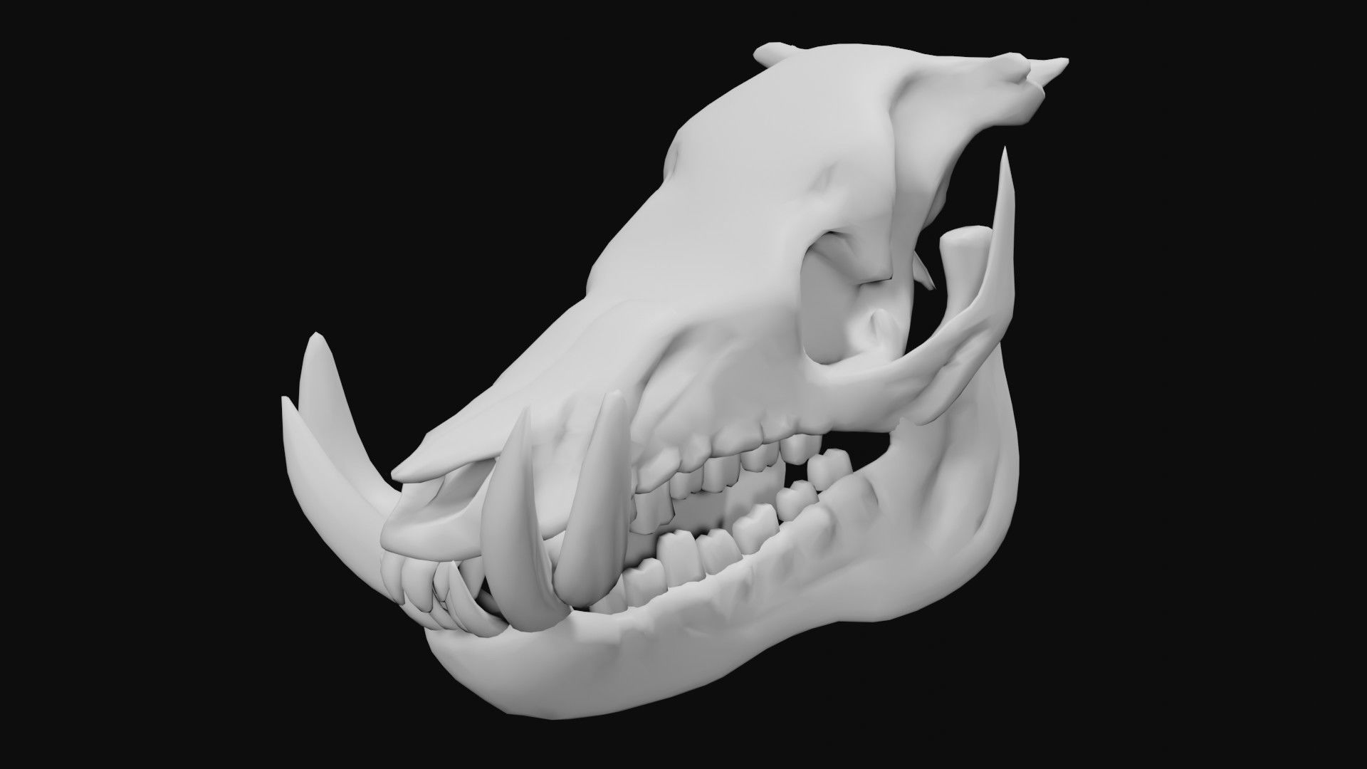 Boar Skull Low-poly 3D model_3