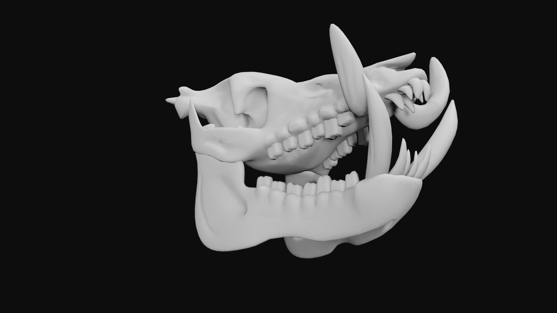 Boar Skull Low-poly 3D model_5