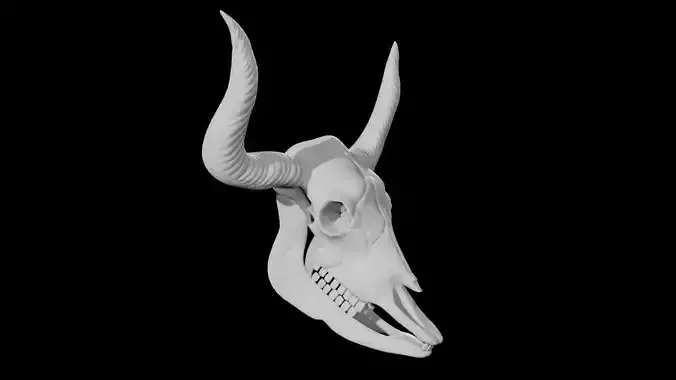 Bull Skull Low-poly 3D model