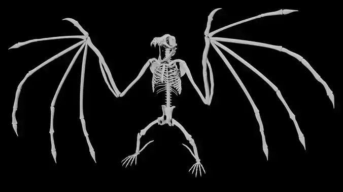 Bat Skeleton Low-poly 3D model