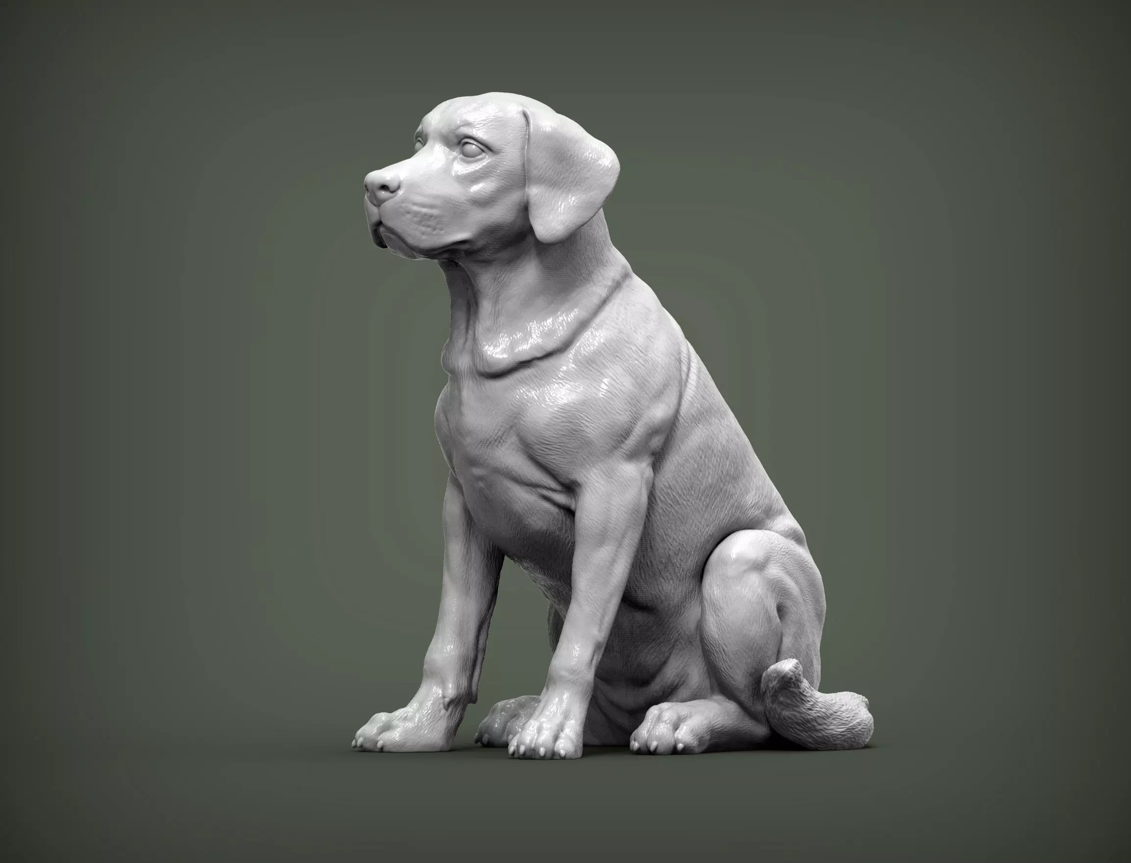 Labrador  3D print model_0
