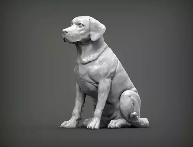 Labrador  3D print model
