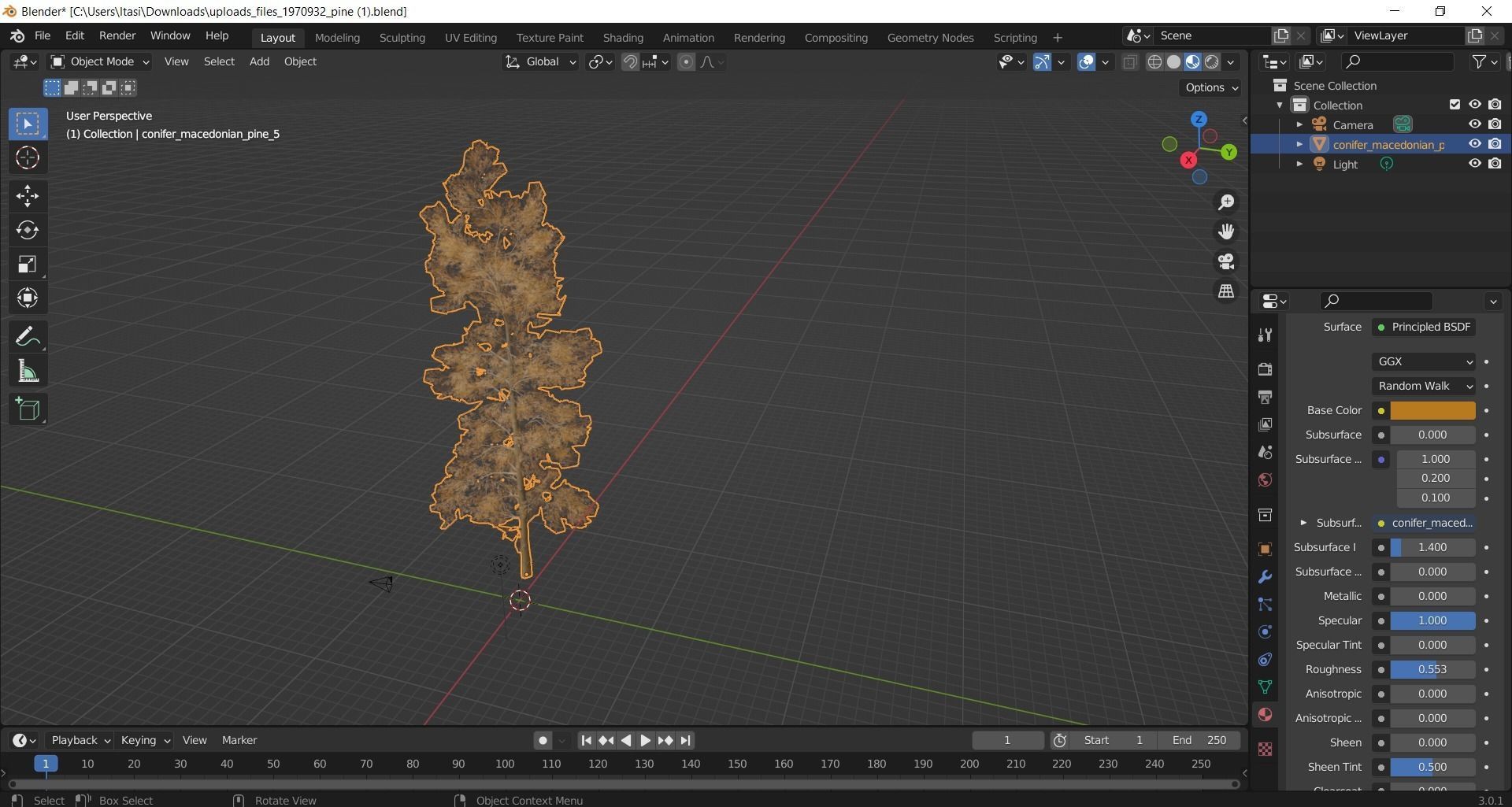 Pine tree  Free 3D model_2