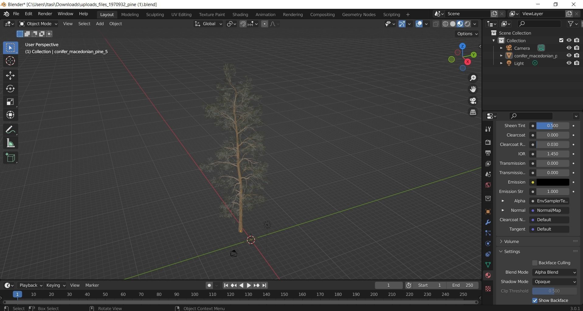 Pine tree  Free 3D model_1