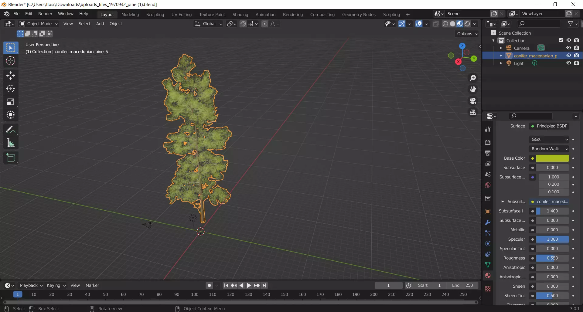Pine tree  Free 3D model_0