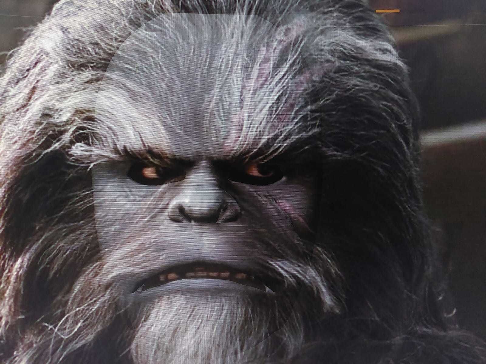 Black Krrsantan mask face shell with articulated jaw  3D print model_4