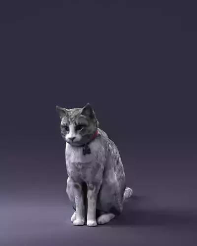 000012 Cat statue 0413 3dp