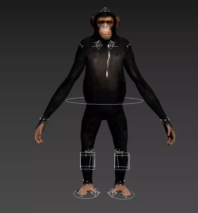 Chimp Rig 3D model_0