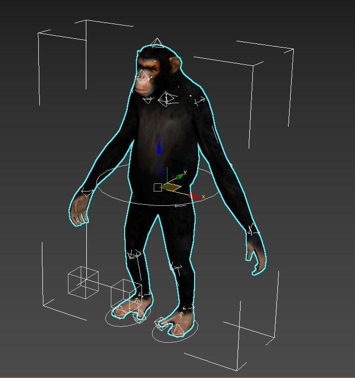 Chimp Rig 3D model_2